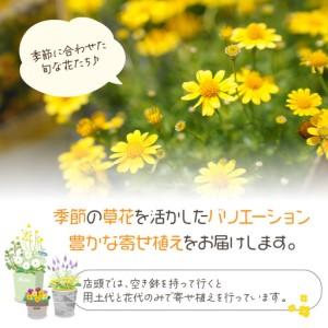 ふるさと納税 花の寄せ植え 35cm鉢【005...の詳細画像2