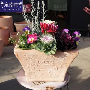 ふるさと納税 季節の花の寄せ植え 35cm【00...の商品画像