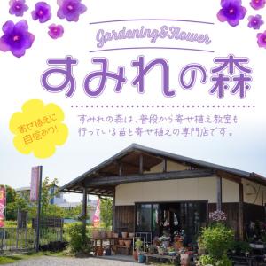 ふるさと納税 季節の花の寄せ植え 35cm【0...の詳細画像1