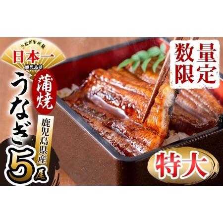 ふるさと納税 鹿児島県産 伊崎田のうなぎ蒲焼 特大＜190g以上＞× 5尾(計950g以上) c5-...