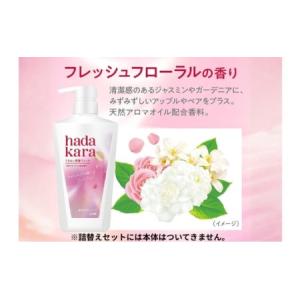 ふるさと納税 ボディソープ hadakara ...の詳細画像1