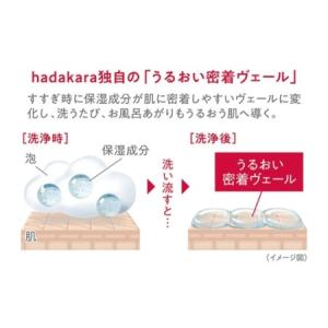 ふるさと納税 ボディソープ hadakara ...の詳細画像3