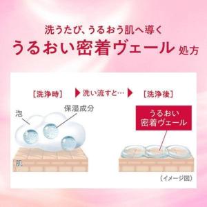 ふるさと納税 ボディソープ ハダカラ 詰め替え...の詳細画像3