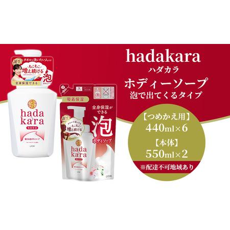 ふるさと納税 hadakara ( ハダカラ ) オリジナルセット 泡タイプ《本体×2本、つめかえ用...