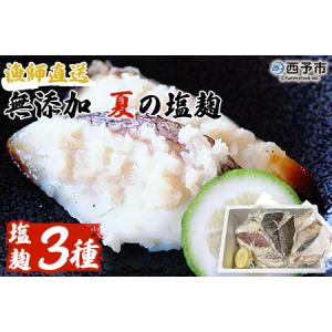 ふるさと納税 ＜漁師直送 無添加 夏の塩麹 160g×3種セ...