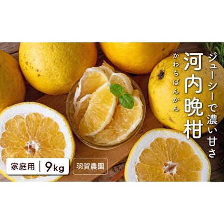 ふるさと納税 羽賀農園 河内晩柑9kg（家庭用）【高知県宿毛市小筑紫町田ノ浦産】 柑橘 柑橘 高知県...