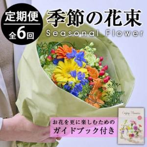 ふるさと納税 ＜定期便・6回(連続)＞季節のお楽しみブーケ(生花：Sサイズ)生花 お花 花束 フラワー 植物 贈り物 インテリア【FM-5】【フラワーシ.. 宮崎県門川町