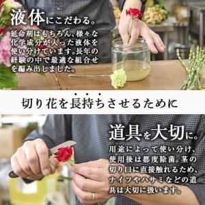 ふるさと納税 <定期便・6回(連続)>季節のお...の詳細画像1