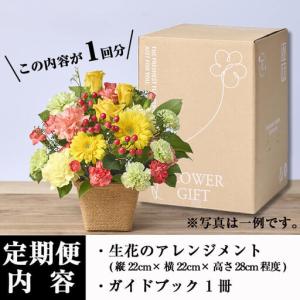 ふるさと納税 <定期便・6回(連続)>季節のお...の詳細画像4