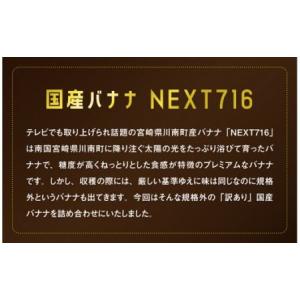ふるさと納税 【訳あり】国産バナナ 1kg【1...の詳細画像1