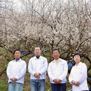 ふるさと納税 なかやまさんちの梅干(1.1kg...の詳細画像3