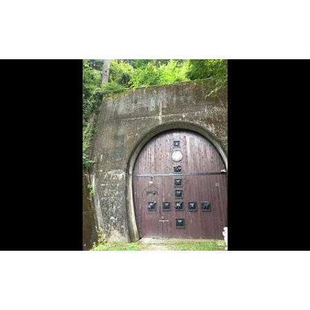 ふるさと納税 鉄道トンネルを再利用した天然のワインセラーBラック200本1年 静岡県浜松市
