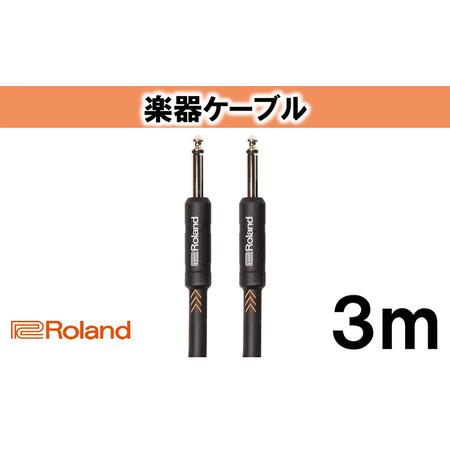 ふるさと納税 【Roland純正】楽器ケーブル 3m/RIC-B10【配送不可：離島】 静岡県浜松市