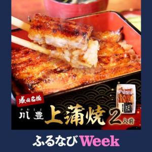 ふるさと納税 うなぎ 川豊 上蒲焼 2人前 セット 蒲焼 うなぎの蒲焼 国産うなぎ 国産 高級品 高級食材 老舗 真空パック 千葉県成田市