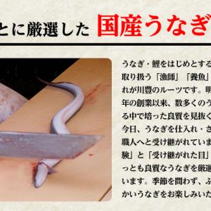 ふるさと納税 うなぎ 川豊 上蒲焼 2人前 セ...の詳細画像2