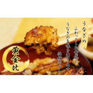 ふるさと納税 期間限定 うなぎ 菊屋謹製 鰻蒲...の詳細画像2