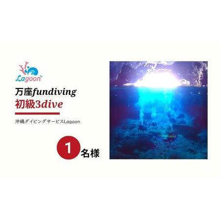 ふるさと納税 チケット ファンダイビング ｜ 初級3DIVE 1名様 万座近海【恩納村ラグーン】 沖...