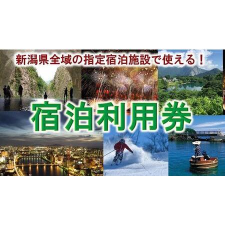 ふるさと納税 【宿泊利用券】新潟県内の指定宿泊施設で使える！（6枚）6,000円分／旅行券 宿泊券 ...