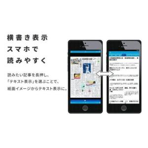 ふるさと納税 新潟日報(デジタル)レギュラープ...の詳細画像1