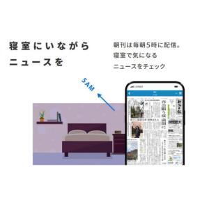 ふるさと納税 新潟日報(デジタル)レギュラープ...の詳細画像3
