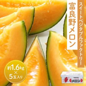 ふるさと納税 富良野市 【2027年発送】美味!秋の富良野メロン(レッド