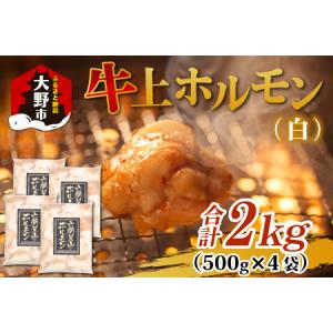 ふるさと納税 ホルモンの老舗 六間星山の牛上ホルモン（白）2kg（500ｇ×4袋）[A-026009] 福井県大野市