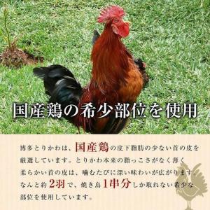 ふるさと納税 博多本格とりかわ 15本入(博多...の詳細画像2