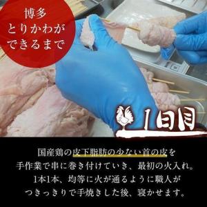ふるさと納税 博多本格とりかわ 15本入(博多...の詳細画像3