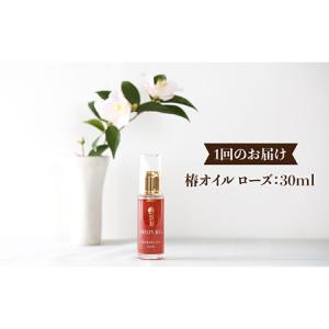 ふるさと納税 【12回定期便】【べたつかない、...の詳細画像1