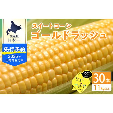 ふるさと納税 【2024年分先行予約】とうもろこし 北海道産 なまら十勝野の スイートコーン ゴール...