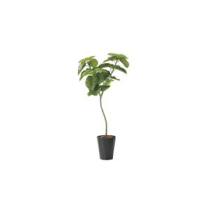 ふるさと納税 【飛騨の家具】HIDA プランタースタンド（Vulcano