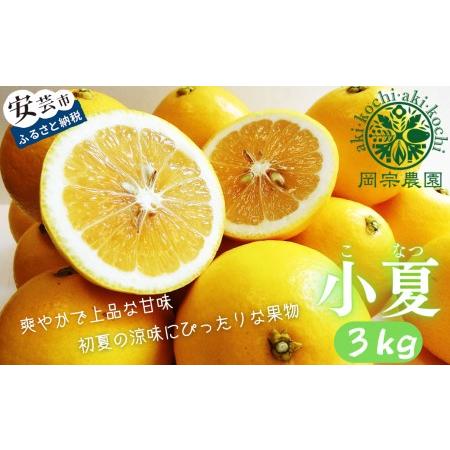 ふるさと納税 メリーガーデンの小夏　3kg 高知県安芸市