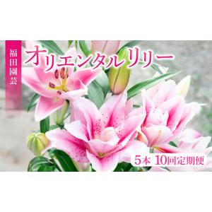 ふるさと納税 ユリ(オリエンタルリリー)5本 10ヶ月定期便【ユリ】 高知県安芸市