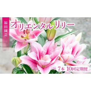 ふるさと納税 ユリ(オリエンタルリリー)7本 10ヶ月定期便【ユリ】 高知県安芸市