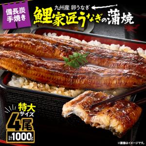 ふるさと納税 1749-1 【特大】九州産うなぎ 備長炭手焼 うなぎ の 蒲焼 4尾 計1,000g KN029-008 魚 鰻 惣菜 総菜 鹿児島県鹿屋市
