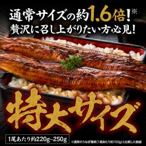 ふるさと納税 1749-1 【特大】九州産うな...の詳細画像1