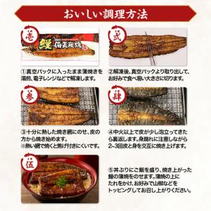 ふるさと納税 1749-1 【特大】九州産うな...の詳細画像3