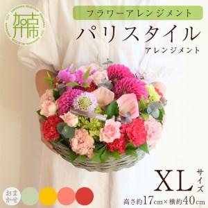 ふるさと納税 【フラワーアレンジメント】パリスタイルアレンジメント(XLサイズ)【5色カラバリ展開】【2406U03809】 兵庫県加古川市