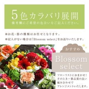 ふるさと納税 【フラワーアレンジメント】パリス...の詳細画像1