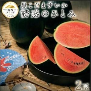 金槍固元湯（150g/30包）2個セット※固本培元湯（こもとばいげんたん