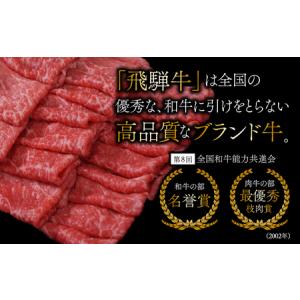 ふるさと納税 【12か月定期便】【飛騨牛】最高...の詳細画像1