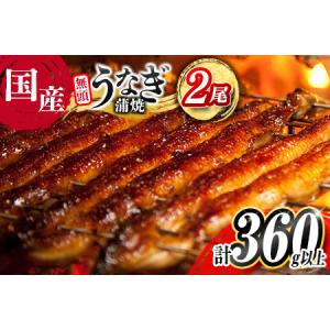 ふるさと納税 ＜9/11まで!!増量中!!＞国産うなぎ蒲焼2尾（無頭）合計380g以上