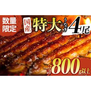 ふるさと納税 ＜高評価!!＞うなぎ 国産 鰻 蒲焼 数量限定 特大＆最速便 2週間以内に配送 4尾 計760g以上 魚介 贈答品 ギフト 丑の日 土用 ウナギ.. 宮崎県新富町｜furunavi