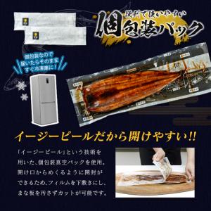 ふるさと納税 【3営業日以内出荷】特大 うなぎ...の詳細画像1