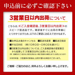ふるさと納税 【3営業日以内出荷】特大 うなぎ...の詳細画像3