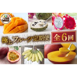 ふるさと納税 豊見城　極上フルーツ定期便 沖縄県豊見城市