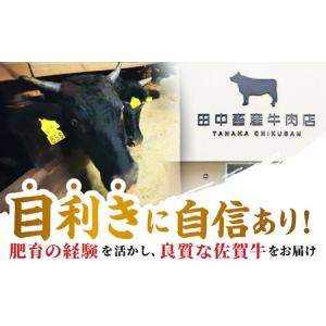 ふるさと納税 【全12回定期便】佐賀牛贅沢定期...の詳細画像2