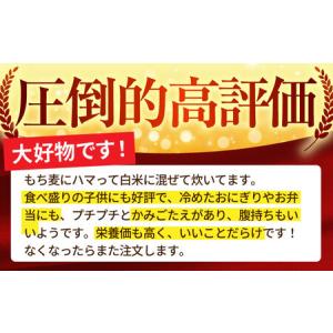 ふるさと納税 キラリモチ もち麦 1kg×2袋...の詳細画像2