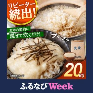 ふるさと納税 もち麦よりも『ぷりっ』とした弾力 丸麦 (長崎県産) 20kg / 麦 むぎ 雑穀 雑穀米 麦ごはん 麦みそ 麦味噌 米 こめ コメ ※ / 諫早.. 長崎県諫早市
