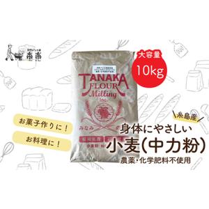 ふるさと納税 【 業務用 】 伊都 の かおり ( 中力粉 ) 10kg 《糸島》【天然パン工房楽楽】【いとしまごころ】 [AVC063] 福岡県糸島市